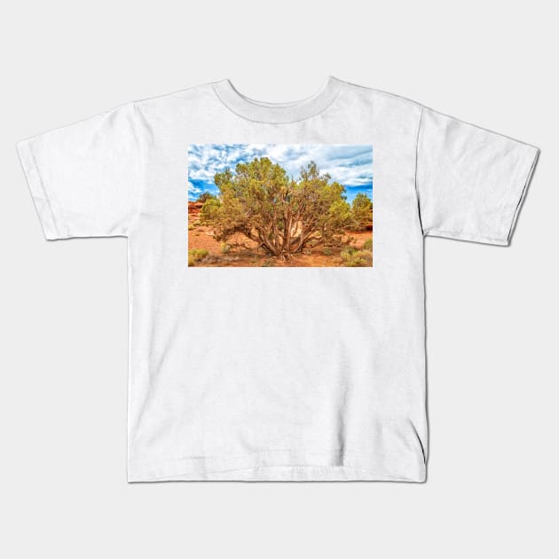 Juniper Tree, Capitol Reef National Park Kids T-Shirt by Gestalt Imagery